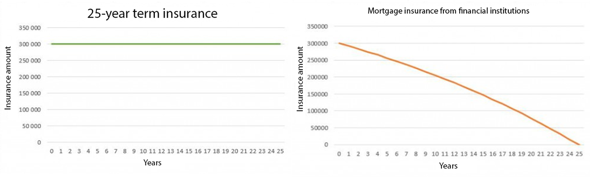 25-year term insurance and Mortgage insurance from financial institutions